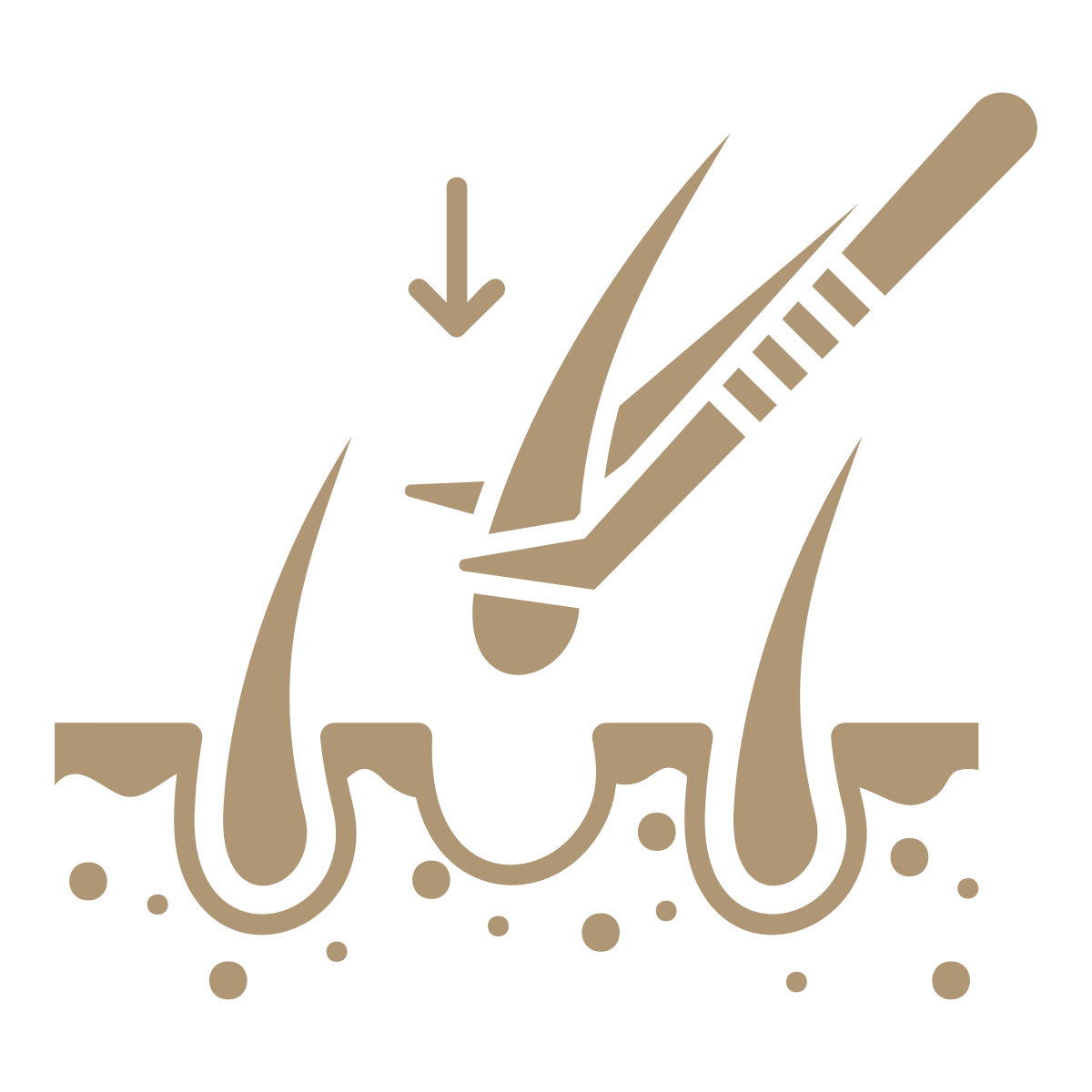 noun-hair-transplant-7103574-AF9775